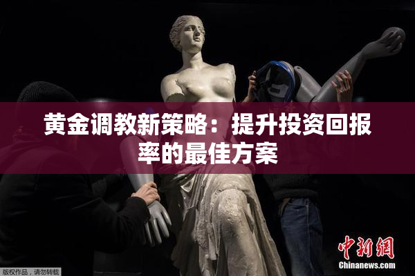黄金调教新策略：提升投资回报率的最佳方案