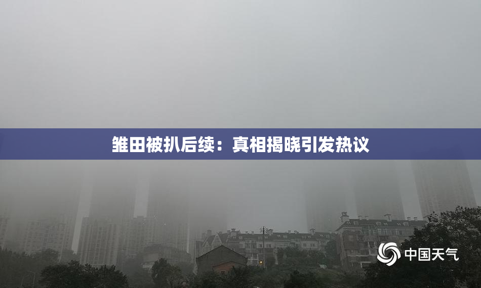 雏田被扒后续：真相揭晓引发热议