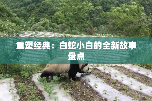 重塑经典：白蛇小白的全新故事盘点