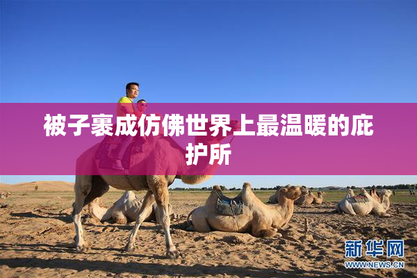 被子裹成仿佛世界上最温暖的庇护所