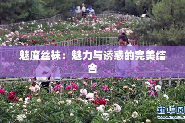 魅魔丝袜：魅力与诱惑的完美结合