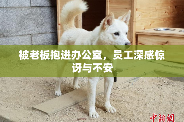 被老板抱进办公室，员工深感惊讶与不安