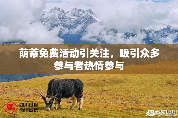 荫蒂免费活动引关注，吸引众多参与者热情参与