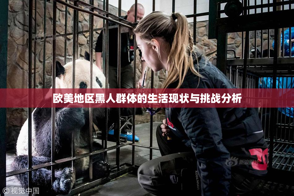 欧美地区黑人群体的生活现状与挑战分析
