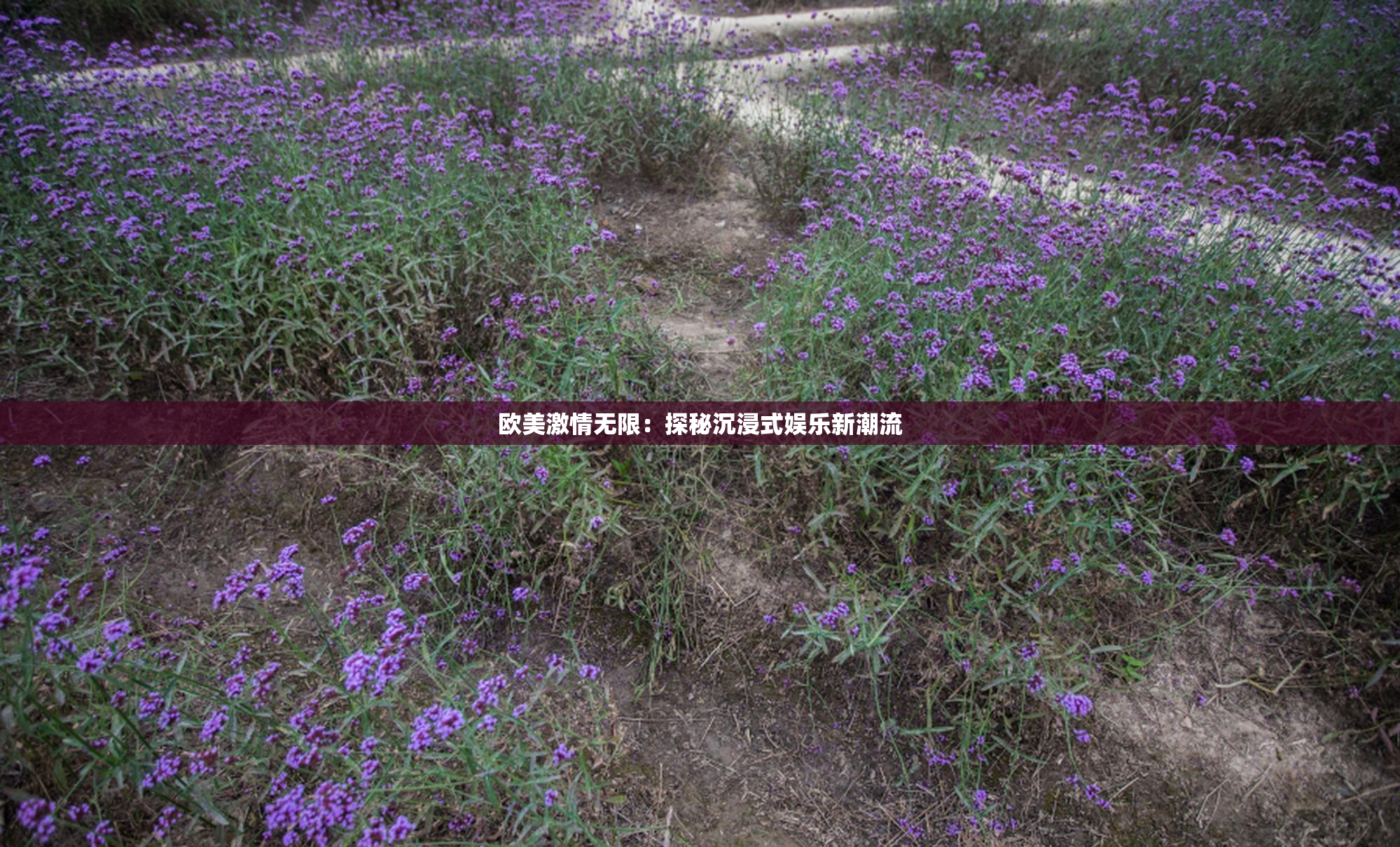 欧美激情无限：探秘沉浸式娱乐新潮流