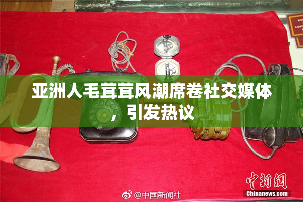 亚洲人毛茸茸风潮席卷社交媒体，引发热议