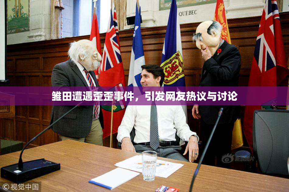 雏田遭遇歪歪事件，引发网友热议与讨论