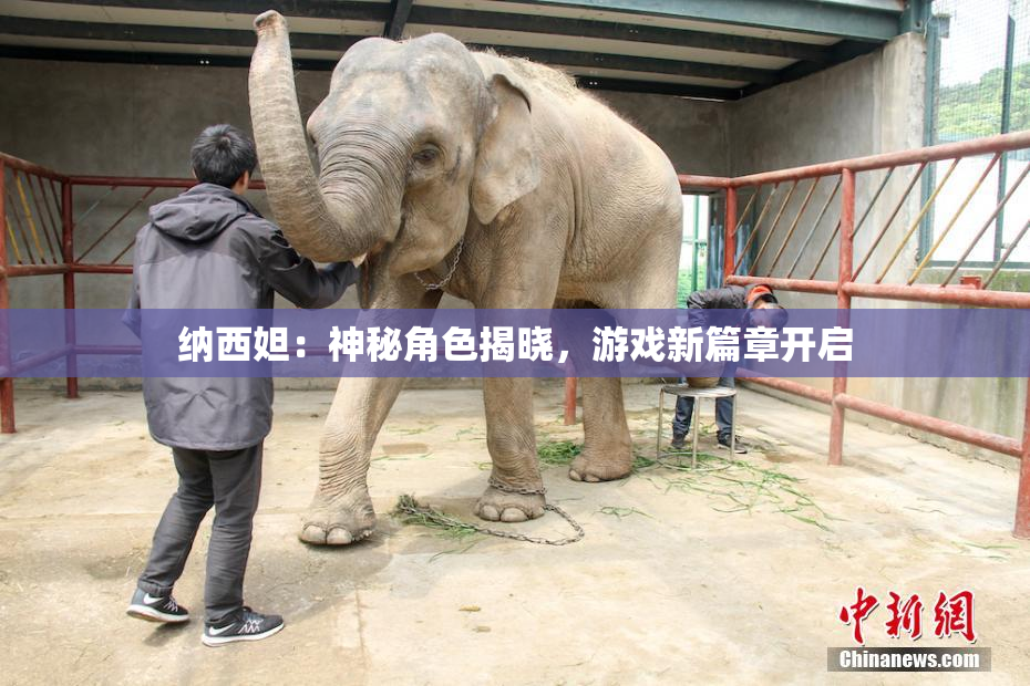 纳西妲：神秘角色揭晓，游戏新篇章开启