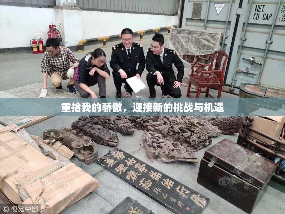 重拾我的骄傲，迎接新的挑战与机遇