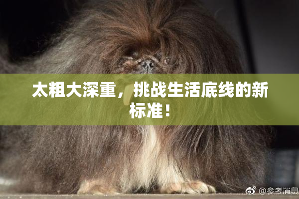 太粗大深重，挑战生活底线的新标准！