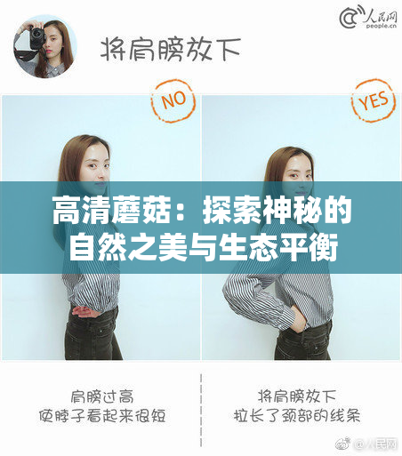 高清蘑菇：探索神秘的自然之美与生态平衡