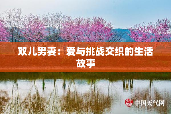 双儿男妻：爱与挑战交织的生活故事
