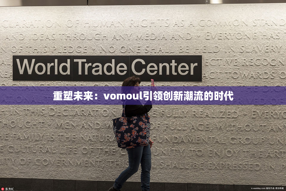 重塑未来：vomoul引领创新潮流的时代