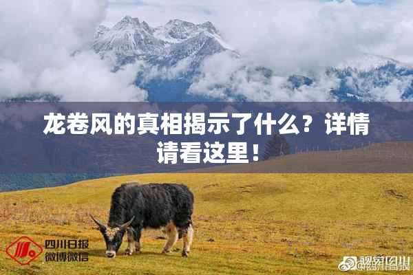 龙卷风的真相揭示了什么？详情请看这里！