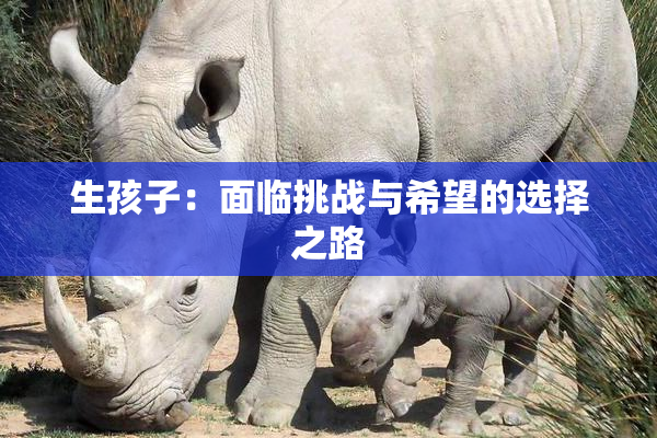 生孩子：面临挑战与希望的选择之路