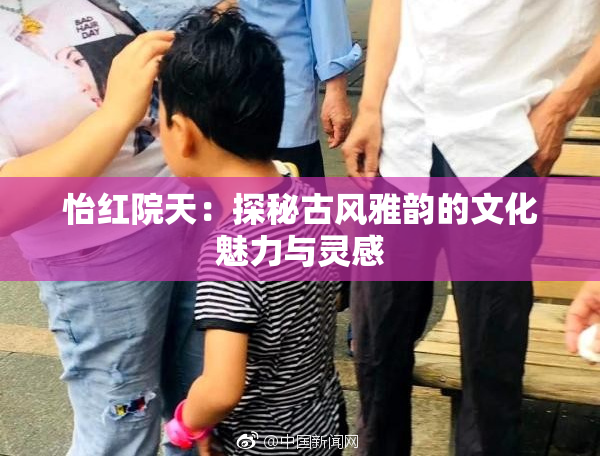 怡红院天：探秘古风雅韵的文化魅力与灵感