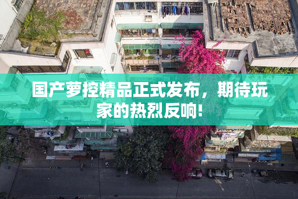 国产萝控精品正式发布，期待玩家的热烈反响!