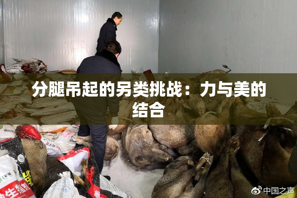 分腿吊起的另类挑战：力与美的结合