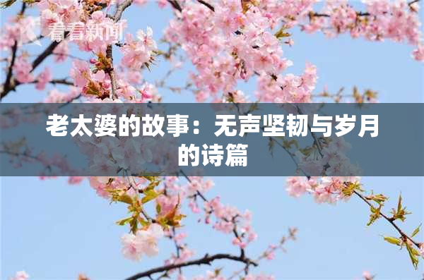 老太婆的故事：无声坚韧与岁月的诗篇