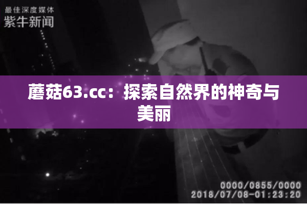蘑菇63.㏄：探索自然界的神奇与美丽
