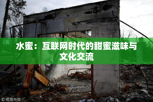 水蜜：互联网时代的甜蜜滋味与文化交流