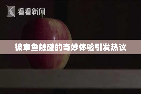 被章鱼触碰的奇妙体验引发热议