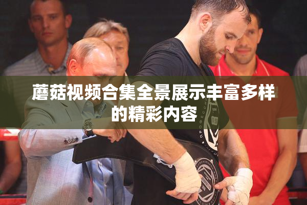 蘑菇视频合集全景展示丰富多样的精彩内容