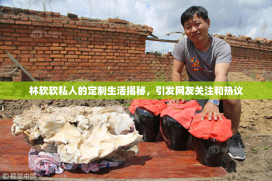 林软软私人的定制生活揭秘，引发网友关注和热议