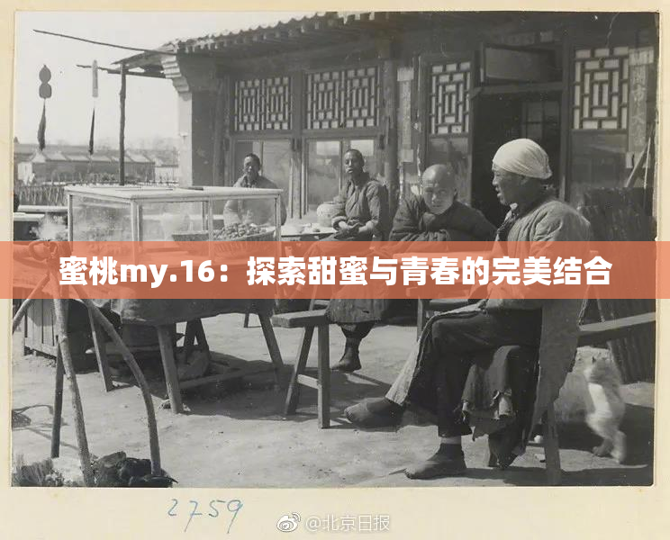 蜜桃my.16：探索甜蜜与青春的完美结合