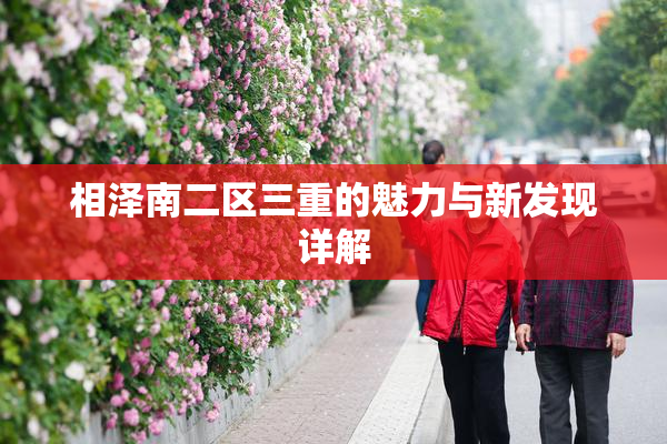 相泽南二区三重的魅力与新发现详解