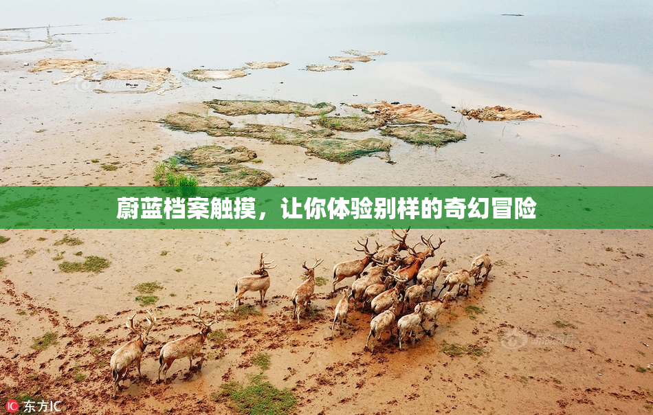 蔚蓝档案触摸，让你体验别样的奇幻冒险