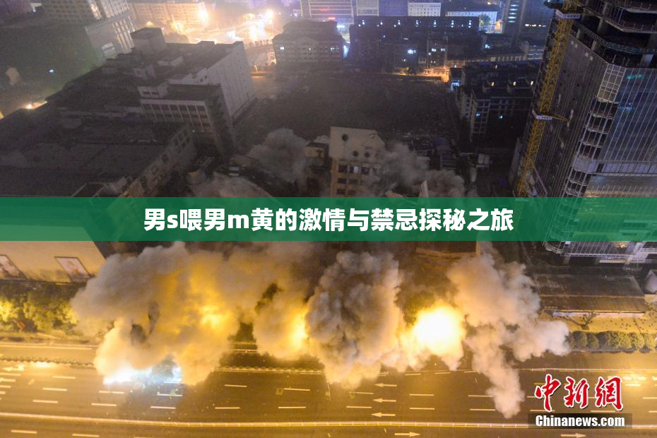 男s喂男m黄的激情与禁忌探秘之旅