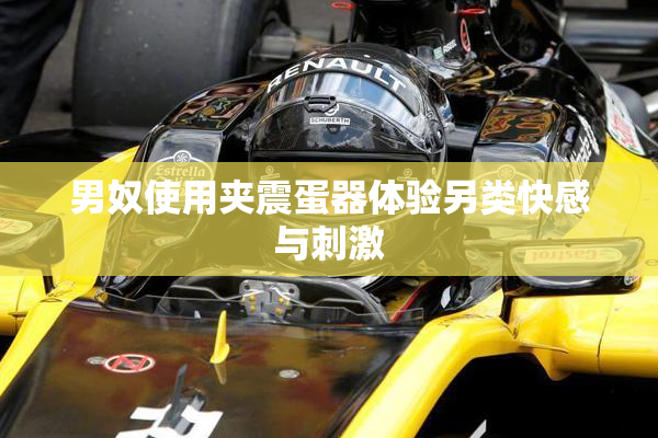男奴使用夹震蛋器体验另类快感与刺激