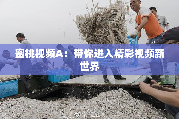 蜜桃视频A：带你进入精彩视频新世界