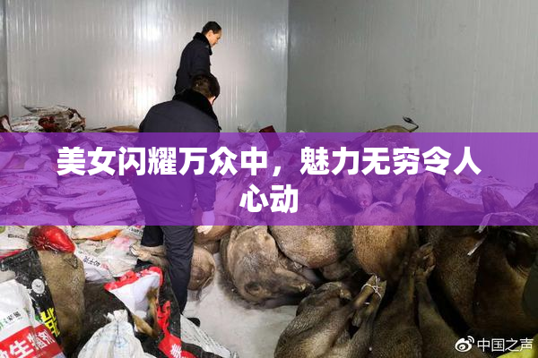 美女闪耀万众中，魅力无穷令人心动