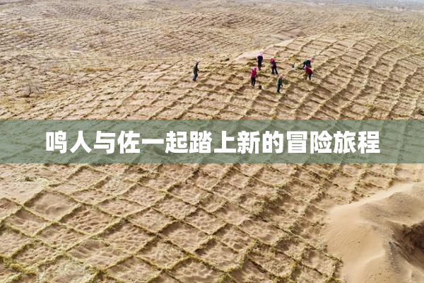鸣人与佐一起踏上新的冒险旅程