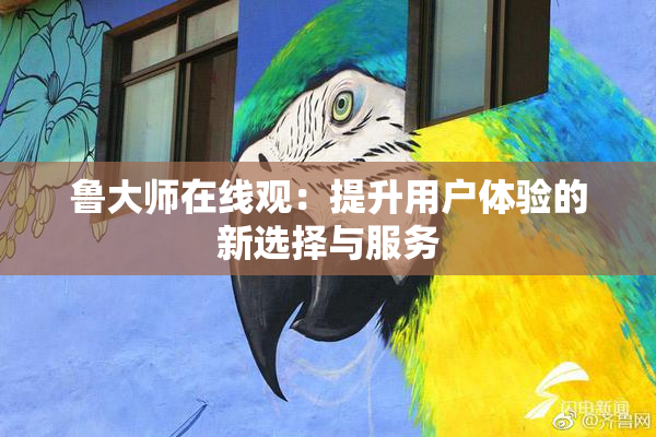 鲁大师在线观：提升用户体验的新选择与服务
