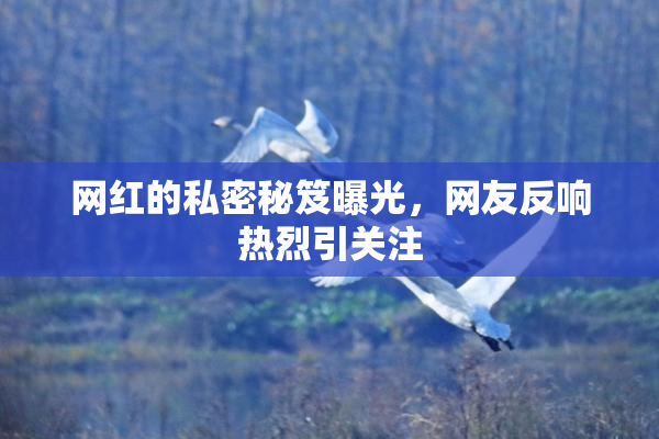 网红的私密秘笈曝光，网友反响热烈引关注