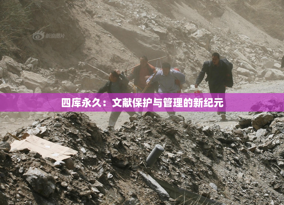 四库永久：文献保护与管理的新纪元