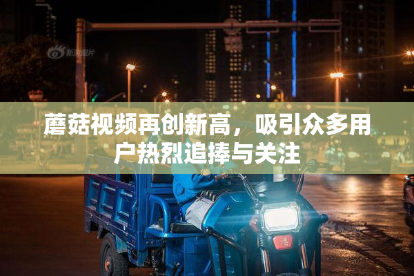 蘑菇视频再创新高，吸引众多用户热烈追捧与关注