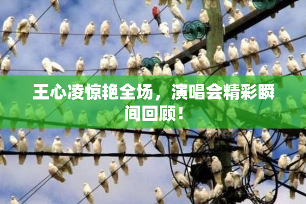 王心凌惊艳全场，演唱会精彩瞬间回顾！