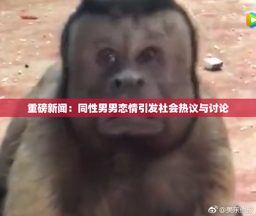 重磅新闻：同性男男恋情引发社会热议与讨论