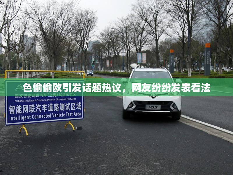 色偷偷欧引发话题热议，网友纷纷发表看法