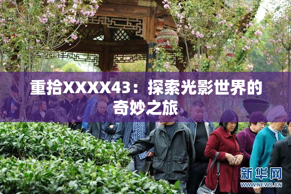 重拾XXXX43：探索光影世界的奇妙之旅