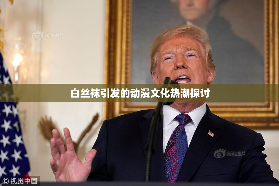 白丝袜引发的动漫文化热潮探讨
