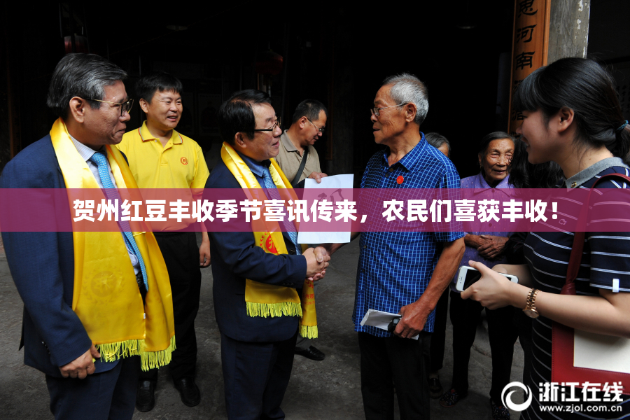 贺州红豆丰收季节喜讯传来，农民们喜获丰收！