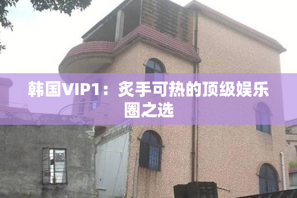 韩国VIP1：炙手可热的顶级娱乐圈之选