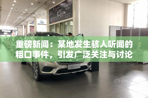 重磅新闻：某地发生骇人听闻的粗口事件，引发广泛关注与讨论