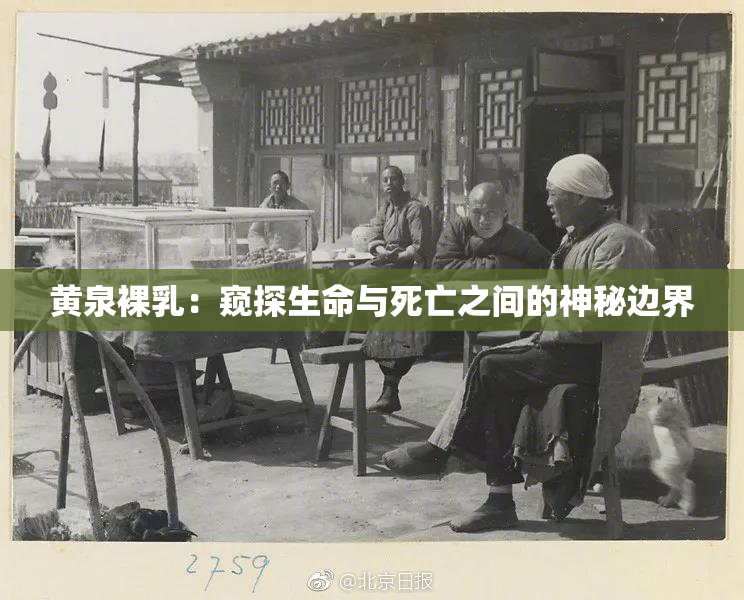黄泉裸乳：窥探生命与死亡之间的神秘边界