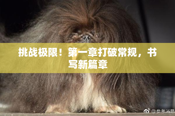 挑战极限！第一章打破常规，书写新篇章